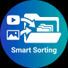Smart Replay Organizer
